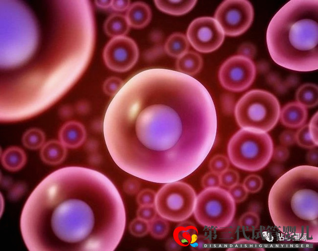 【貼心醫(yī)生】第三代試管要取多少卵子才可以成功得到一個(gè)健康的試管寶寶？(圖1)