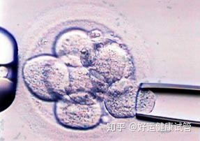 好運健康三代試管知男女的必經(jīng)之路—胚胎活檢術(shù)(圖5)