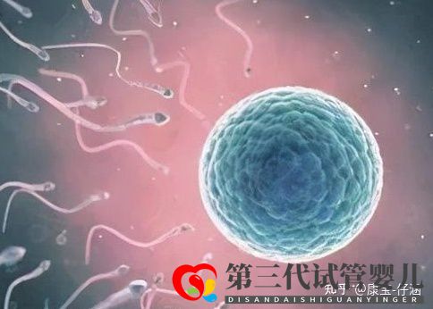 通俗易懂的一、二、三代試管嬰兒解說,及三代試管能...(圖1)
