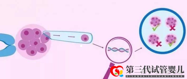 通俗易懂的一、二、三代試管嬰兒解說,及三代試管能...(圖6)
