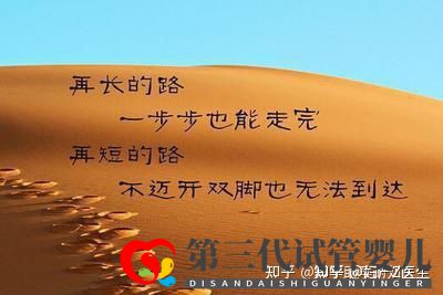全國(guó)試管前百名醫(yī)院2021年全國(guó)三代試管嬰兒資質(zhì)醫(yī)...(圖10) 全國(guó)試管前百名醫(yī)院2021年全國(guó)三代試管嬰兒資質(zhì)醫(yī)...(圖10)