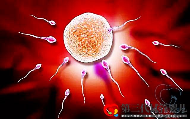 精子不動可以做試管嗎？(圖1)