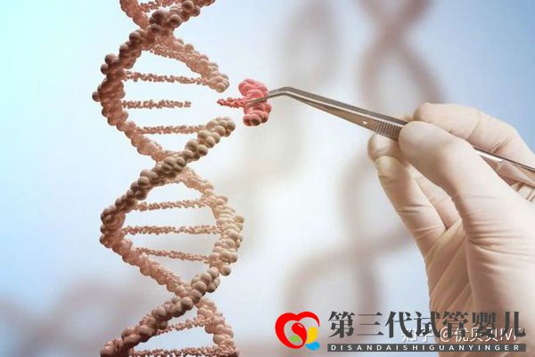 國(guó)內(nèi)的三代試管醫(yī)院都有哪些第一梯隊(duì)了解下(圖6) 國(guó)內(nèi)的三代試管醫(yī)院都有哪些第一梯隊(duì)了解下(圖6)