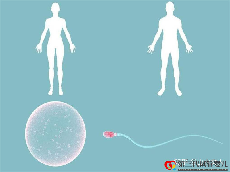試管嬰兒可以選擇性別嗎費(fèi)用大概是多少錢(qián)(圖2)