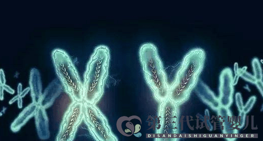 MDS有染色體異常是不是很難治？(圖1)
