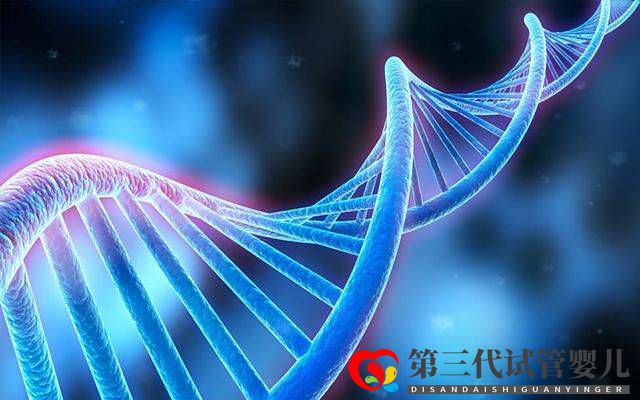 為什么父母染色體正常，胚胎染色體卻有問題？(圖2)