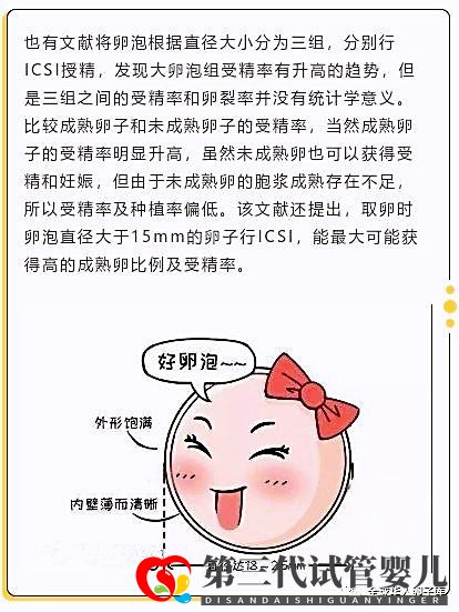 卵泡大小和試管成功率有關(guān)系嗎？大卵泡是不是越多越好？(圖3)
