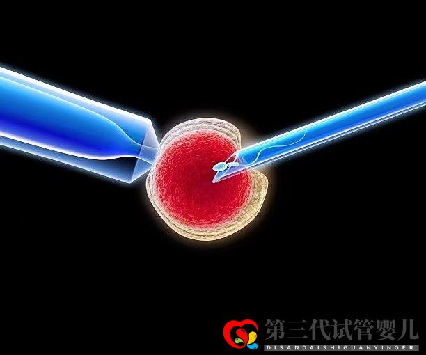 高齡女性在做三代試管時，取多少個卵子合適？(圖1)