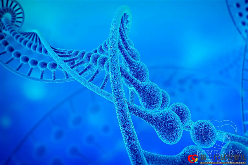 染色體異常能做試管嬰兒?jiǎn)?？試管嬰兒要查染色體嗎？(圖1)