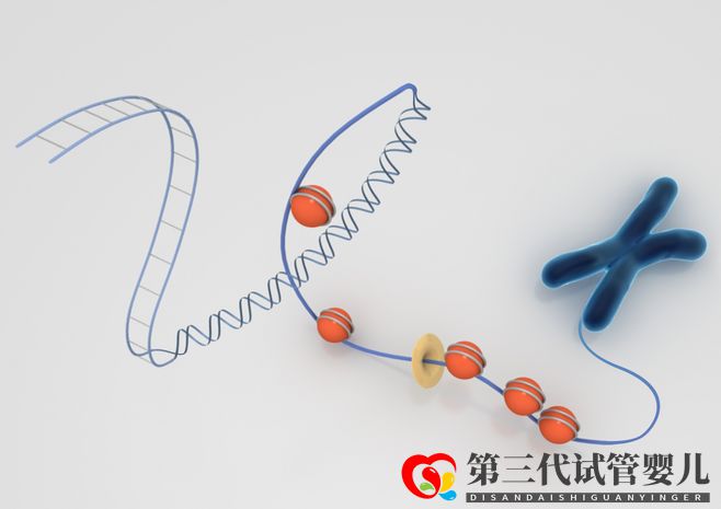 染色體異常，能通過試管嬰兒要孩子嗎(圖2)