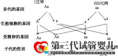 泰國三代試管PGD技術(shù)能解決白化病的遺傳問題嗎(圖2) 泰國三代試管PGD技術(shù)能解決白化病的遺傳問題嗎(圖2)