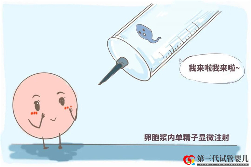試管真的可以解決懷孕困難嗎？？試管五點(diǎn)誤區(qū)快看~(圖3)