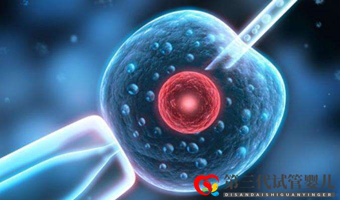 試管嬰兒取卵前后6大注意事項(xiàng)你知道多少？(圖1)