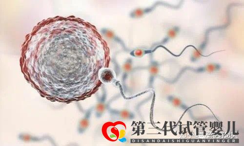 第三代試管嬰兒生出來(lái)的孩子健康嗎(圖1)