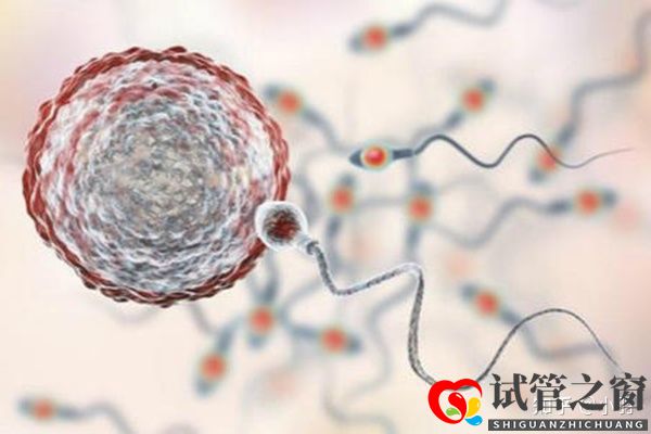 一文帶你了解試管嬰兒整個流程個各個環(huán)節(jié)時間節(jié)點的...(圖2)