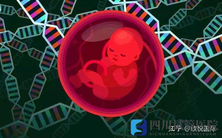 成都第三代試管嬰兒費(fèi)用大概多少錢(qián)(圖2) 成都第三代試管嬰兒費(fèi)用大概多少錢(qián)(圖2)