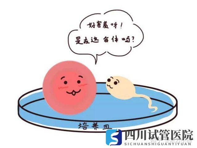 成都三代試管多少錢(qián)公立醫(yī)院和服務(wù)機(jī)構(gòu)有什么區(qū)(圖1) 成都三代試管多少錢(qián)公立醫(yī)院和服務(wù)機(jī)構(gòu)有什么區(qū)(圖1)