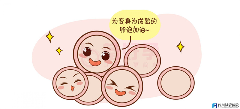 試管嬰兒的具體流程是什么？(圖1)