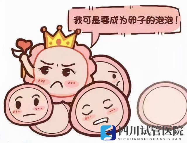 試管嬰兒取卵數量多少才是最好的？(圖1)