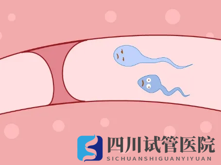 輸卵管堵塞怎么辦？做手術(shù)還是做試管嬰兒好？(圖1)