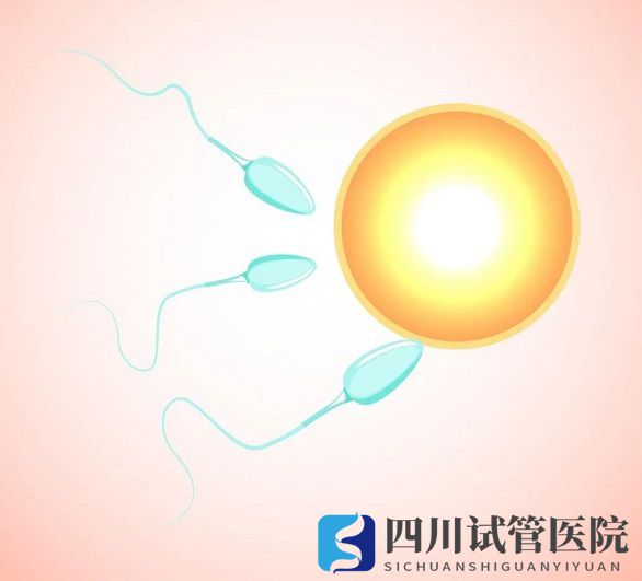 越年輕做試管嬰兒成功率就越高嗎？(圖1)