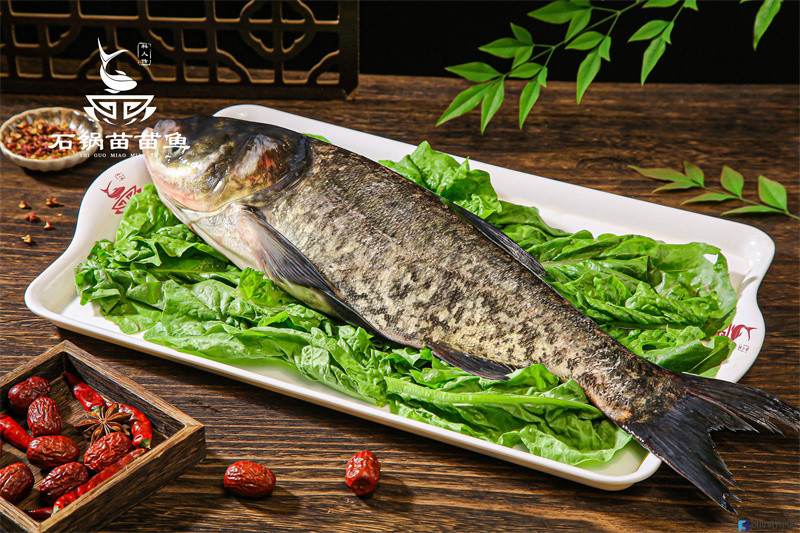 成都加盟火鍋哪家好？石鍋苗苗魚是成都火鍋的靈魂(圖1)