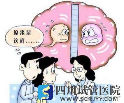 輸卵管如果不通,精子和卵子只能遙遙相對(圖2)