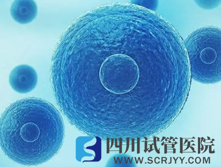 揭秘試管著床7個小妙招，飲食吃對了想失敗都難！(圖1)