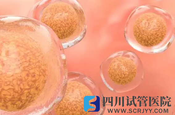 揭秘移植凍胚后著床時(shí)間線，一文知幾天著床有什么感覺(圖2)