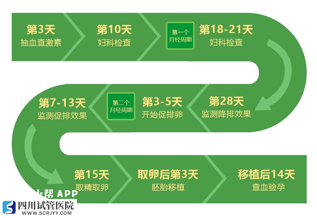 試管嬰兒的治療進程