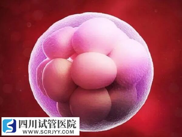囊胚可能培養(yǎng)失敗