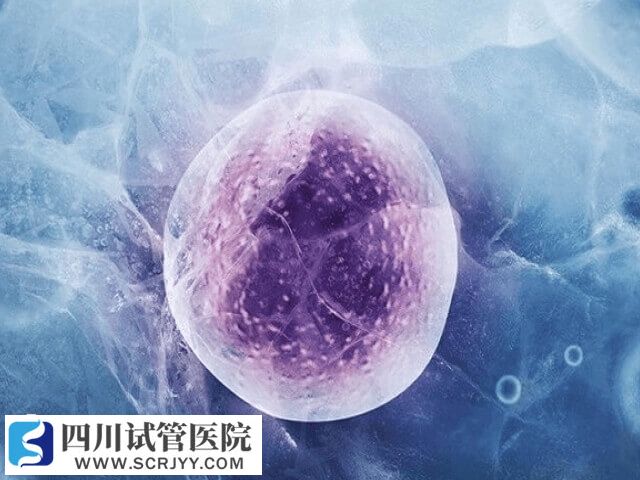 囊胚冷凍是為了進(jìn)行PGS/PGD技術(shù)篩查